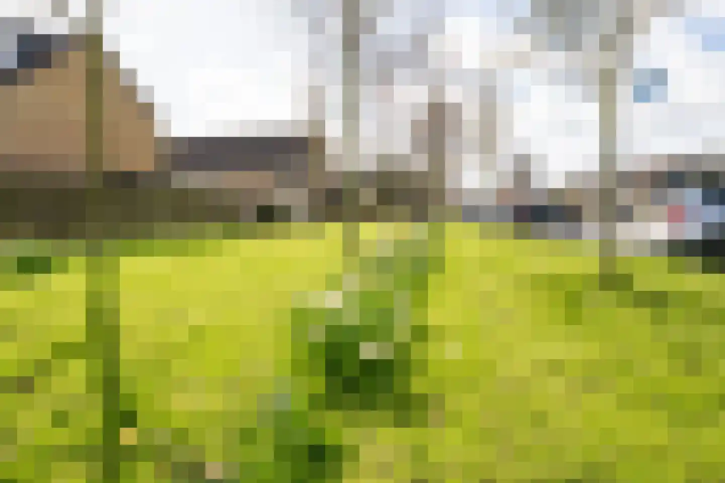 Groetlaan 12 Hoogwoud thumbnail 34