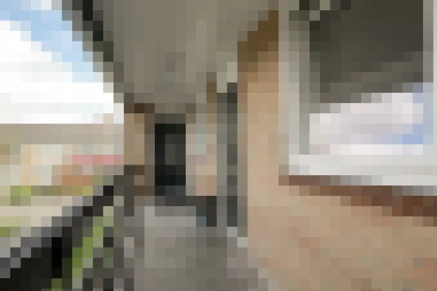 Groetlaan 12 Hoogwoud thumbnail 4