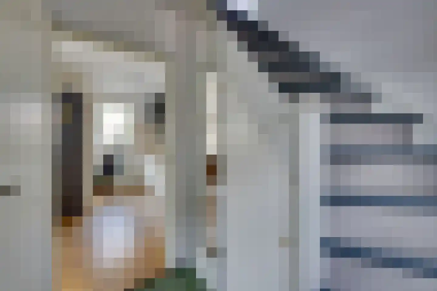Groetlaan 6 Hoogwoud thumbnail 10