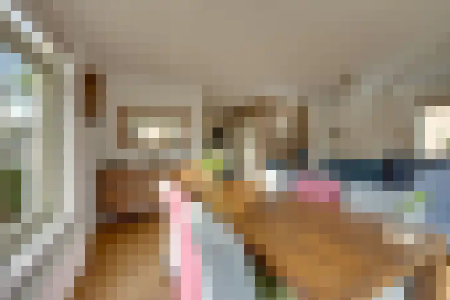 Groetlaan 6 Hoogwoud thumbnail 15