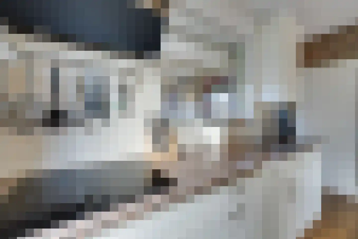 Groetlaan 6 Hoogwoud thumbnail 21
