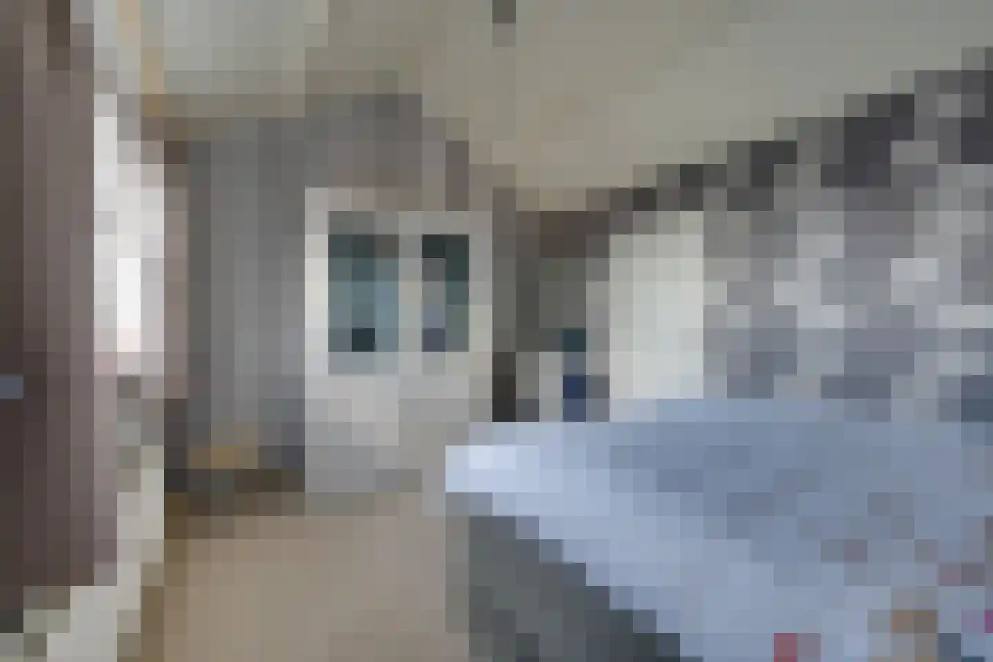 Groetlaan 6 Hoogwoud thumbnail 32