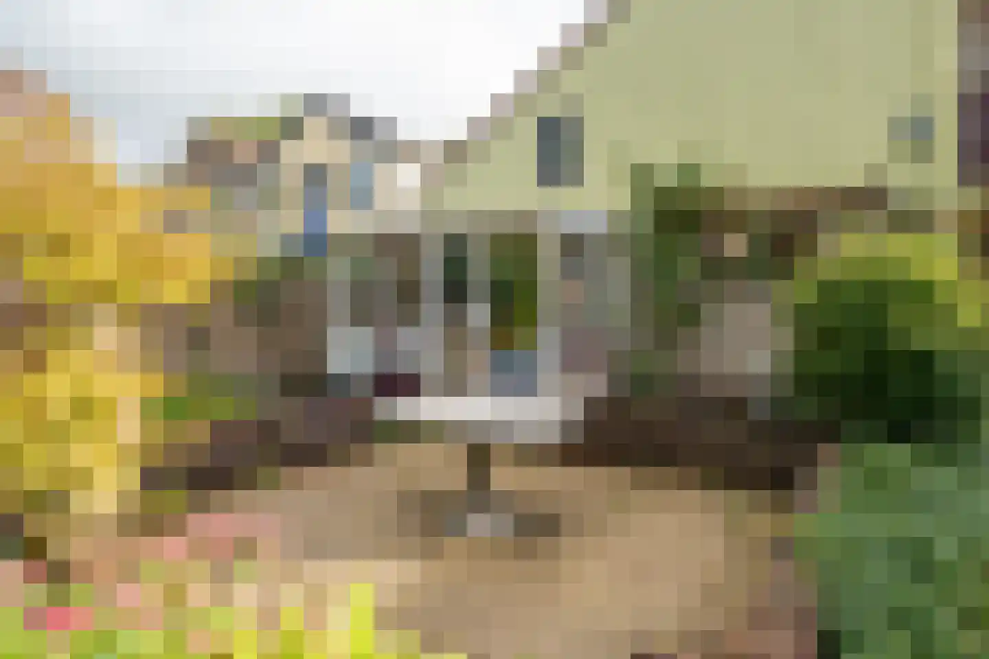 Groetlaan 6 Hoogwoud thumbnail 46