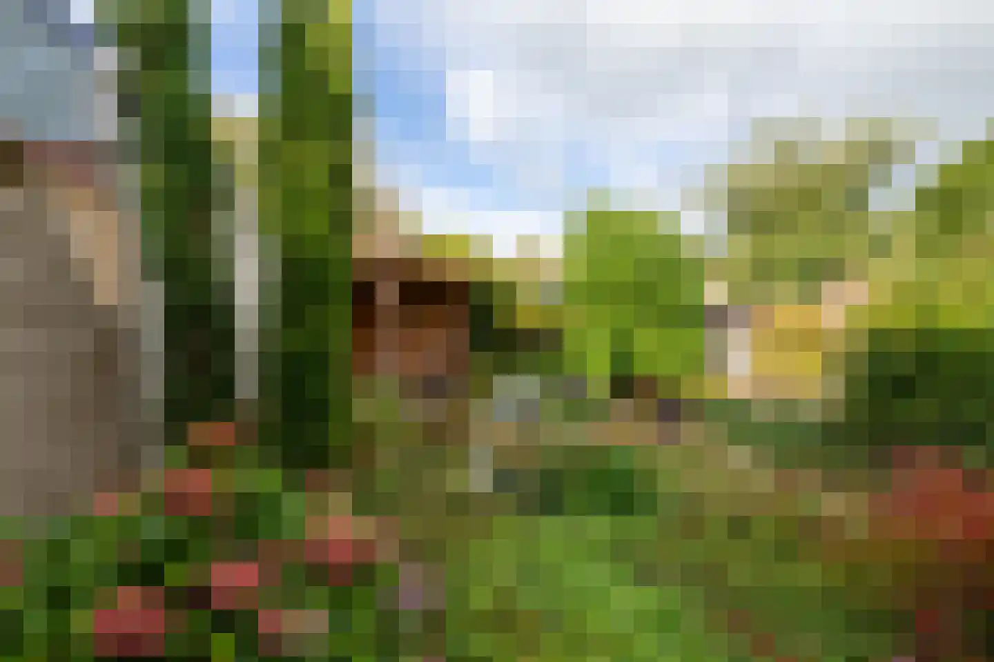 Groetlaan 6 Hoogwoud thumbnail 51