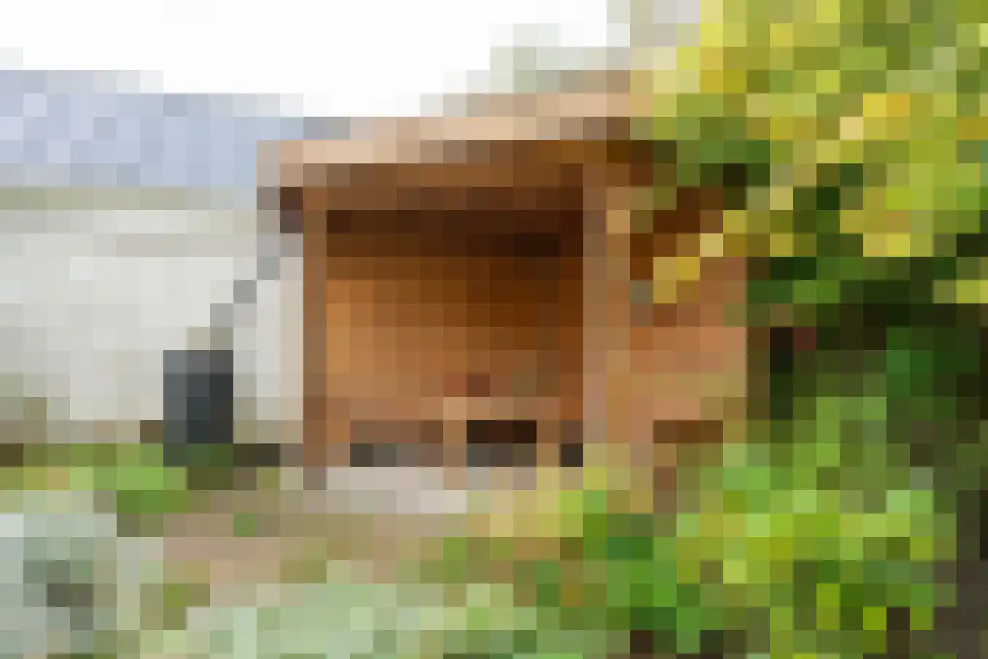 Groetlaan 6 Hoogwoud thumbnail 52