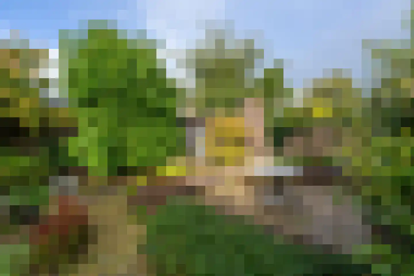 Groetlaan 6 Hoogwoud thumbnail 55