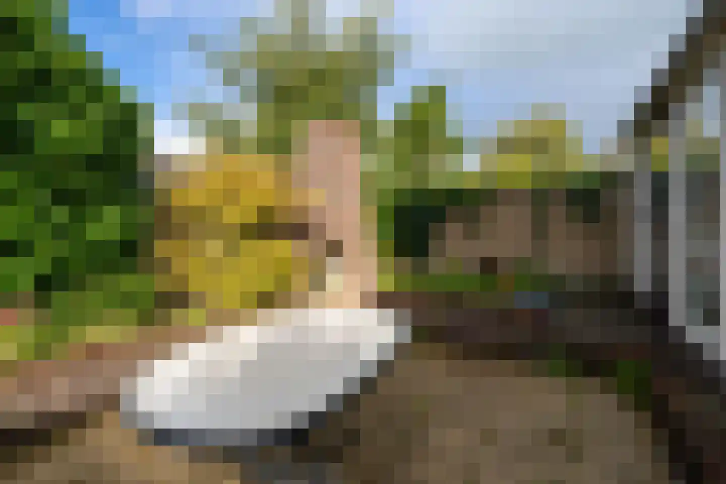 Groetlaan 6 Hoogwoud thumbnail 56