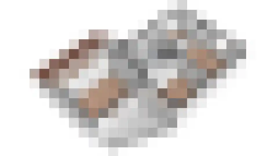 Groetlaan 6 Hoogwoud thumbnail 66