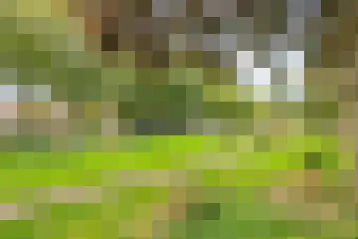 Groetpolderstraat 6 Hoofddorp thumbnail 5