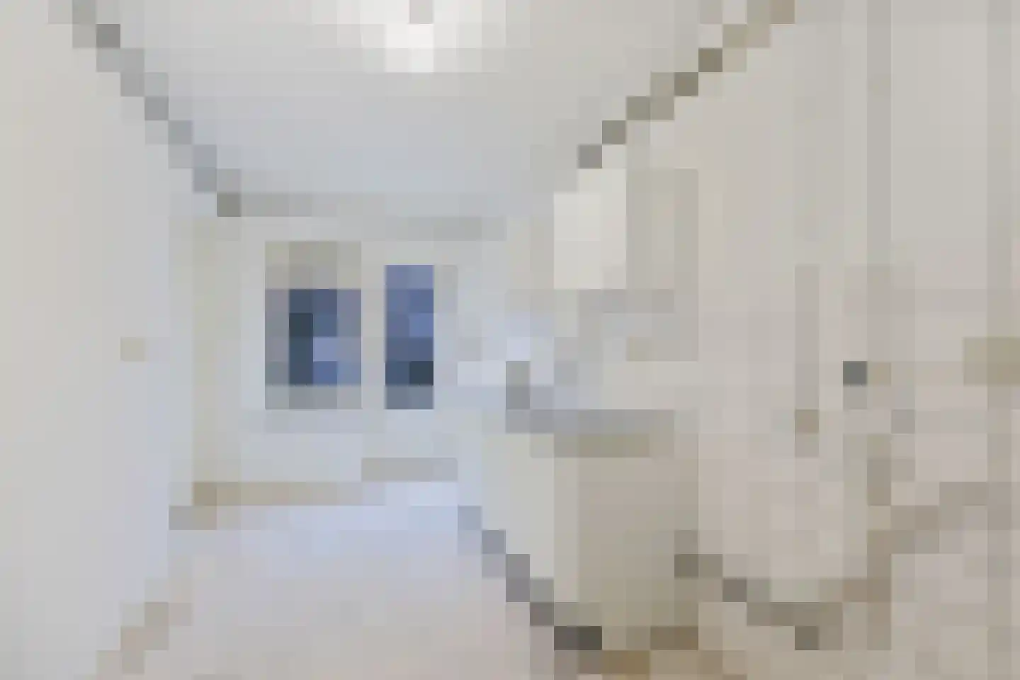 Groetstraat 113 Amsterdam thumbnail 10
