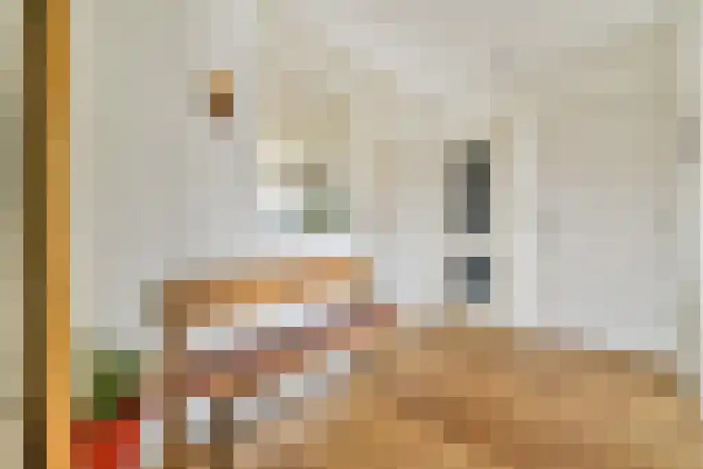 Groetstraat 202 Amsterdam thumbnail 6