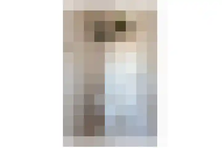 Groetstraat 207 Amsterdam thumbnail 40
