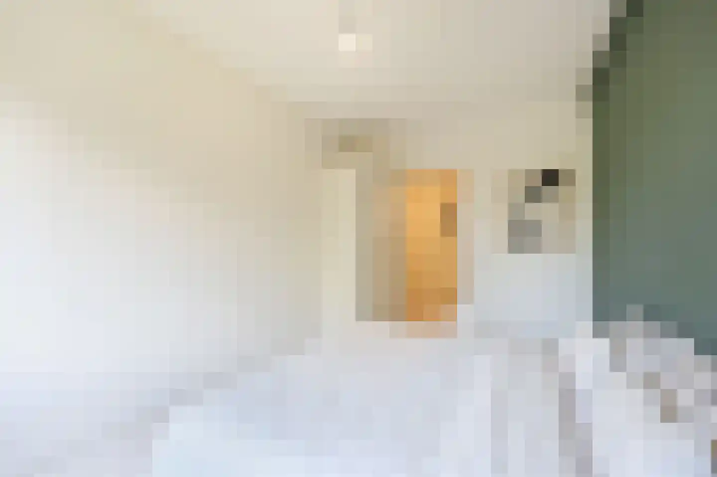 Groetstraat 59 Amsterdam thumbnail 12