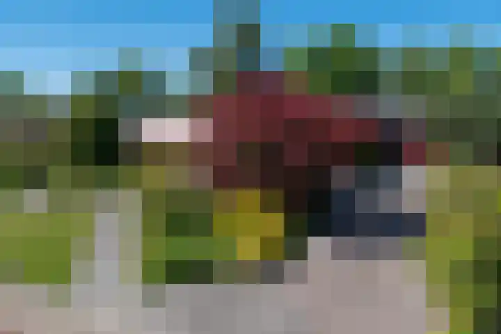 Groevelaan 3 Leek