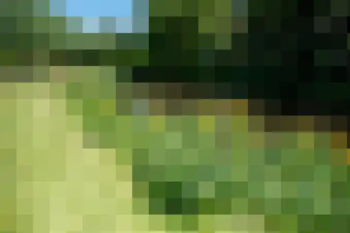Groevelaan 3 Leek thumbnail 39