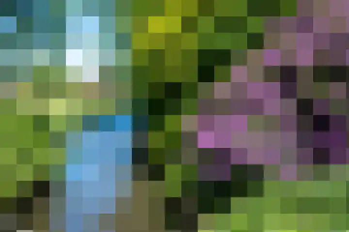 Groevelaan 3 Leek thumbnail 41