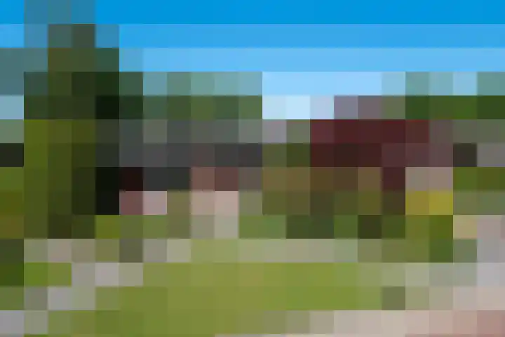 Groevelaan 3 Leek thumbnail 7