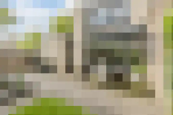 Groevenbekerhout 18 Harderwijk thumbnail 24