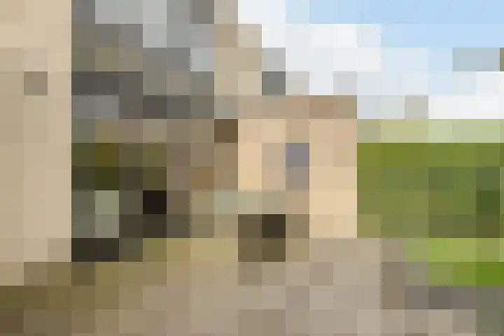 Groevenbekerhout 18 Harderwijk thumbnail 45