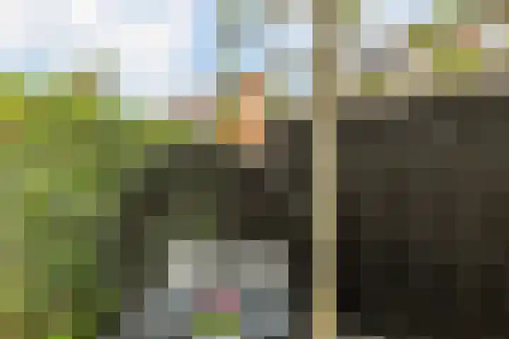 Groevenbekerhout 18 Harderwijk thumbnail 47