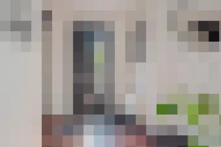 Groevenbekerhout 18 Harderwijk thumbnail 5