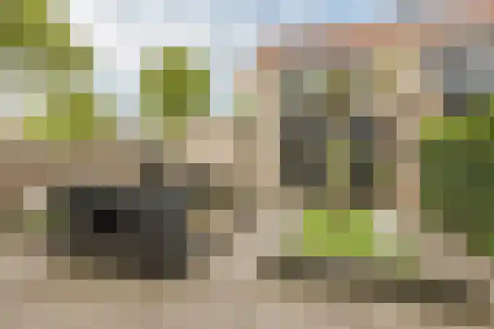Groevenbekerhout 18 Harderwijk thumbnail 51
