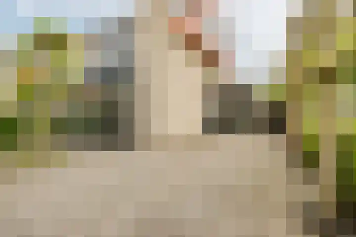 Groevenbekerhout 18 Harderwijk thumbnail 53