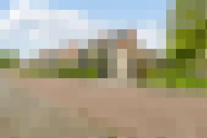 Groevenbekerhout 18 Harderwijk thumbnail 54