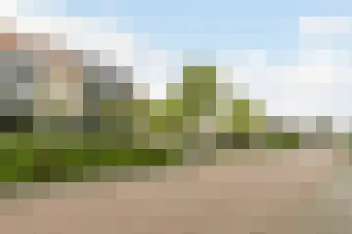 Groevenbekerhout 18 Harderwijk thumbnail 55
