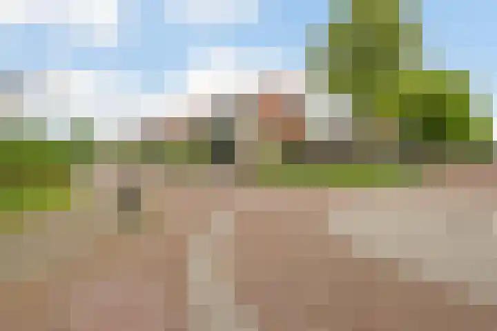 Groevenbekerhout 18 Harderwijk thumbnail 56