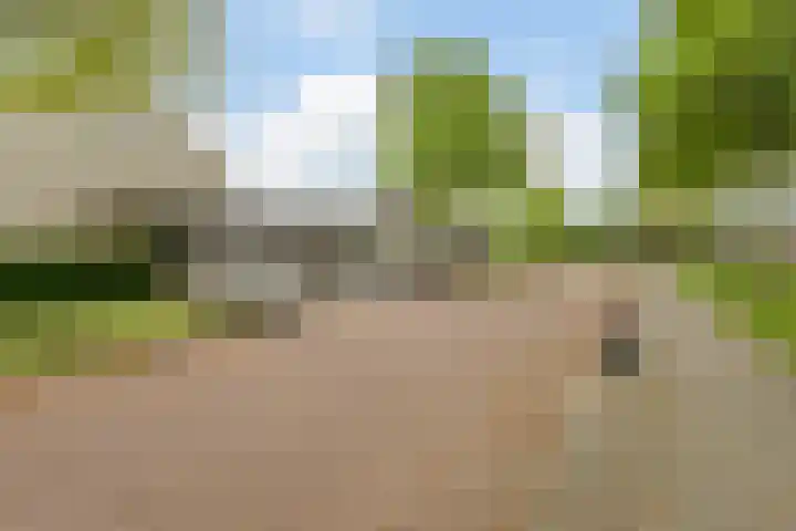 Groevenbekerhout 18 Harderwijk thumbnail 57