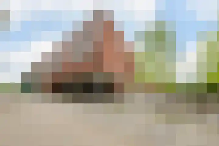 Groevenbekerhout 18 Harderwijk thumbnail 59