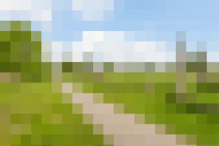 Groevenbekerhout 18 Harderwijk thumbnail 60