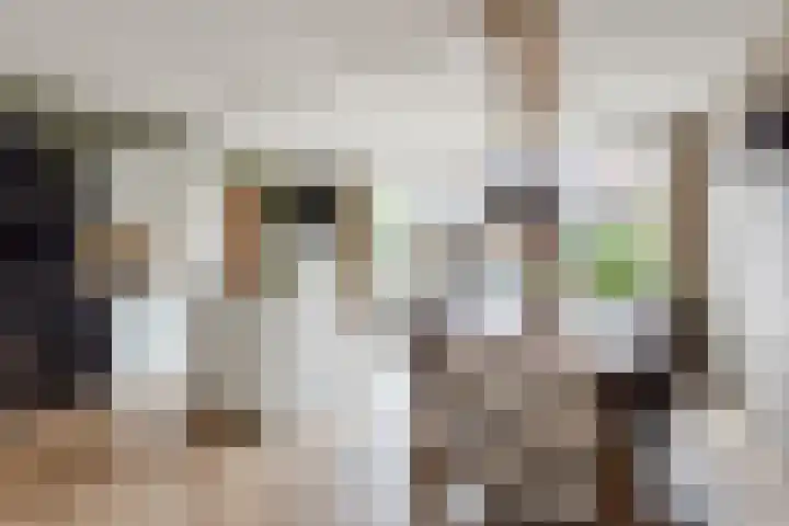 Groevenbekerhout 24 Harderwijk thumbnail 18