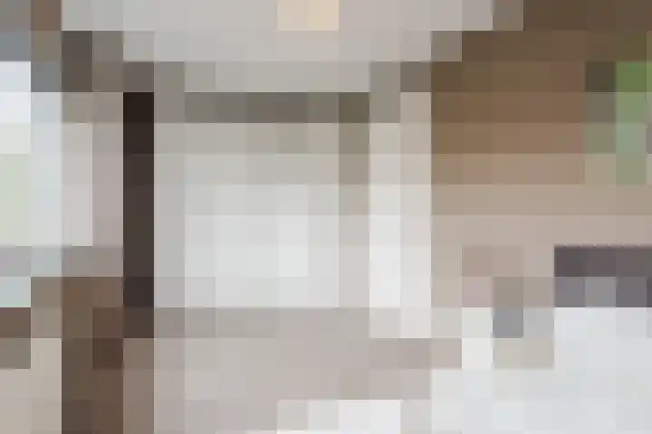 Groevenbekerhout 24 Harderwijk thumbnail 32