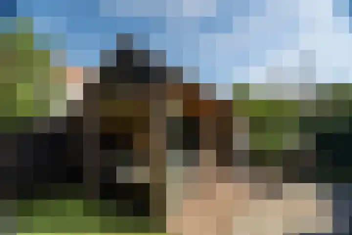 Groevenbekerhout 24 Harderwijk thumbnail 46