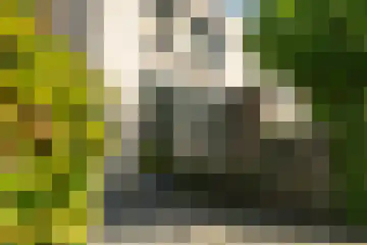 Groevenbekerhout 24 Harderwijk thumbnail 6