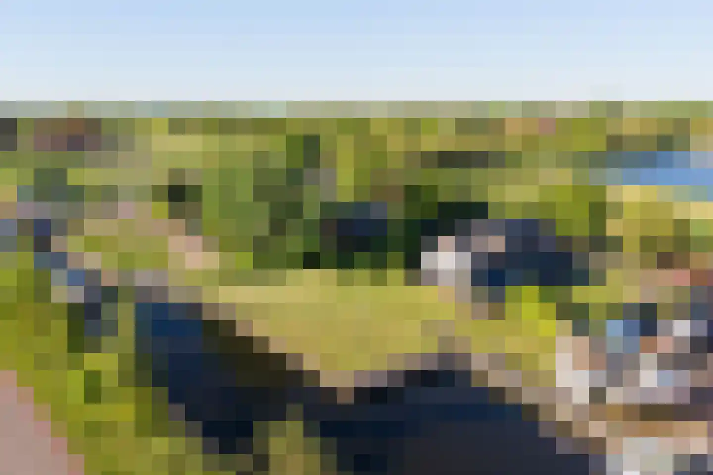 Groeveweg 1 A Oostwold thumbnail 12