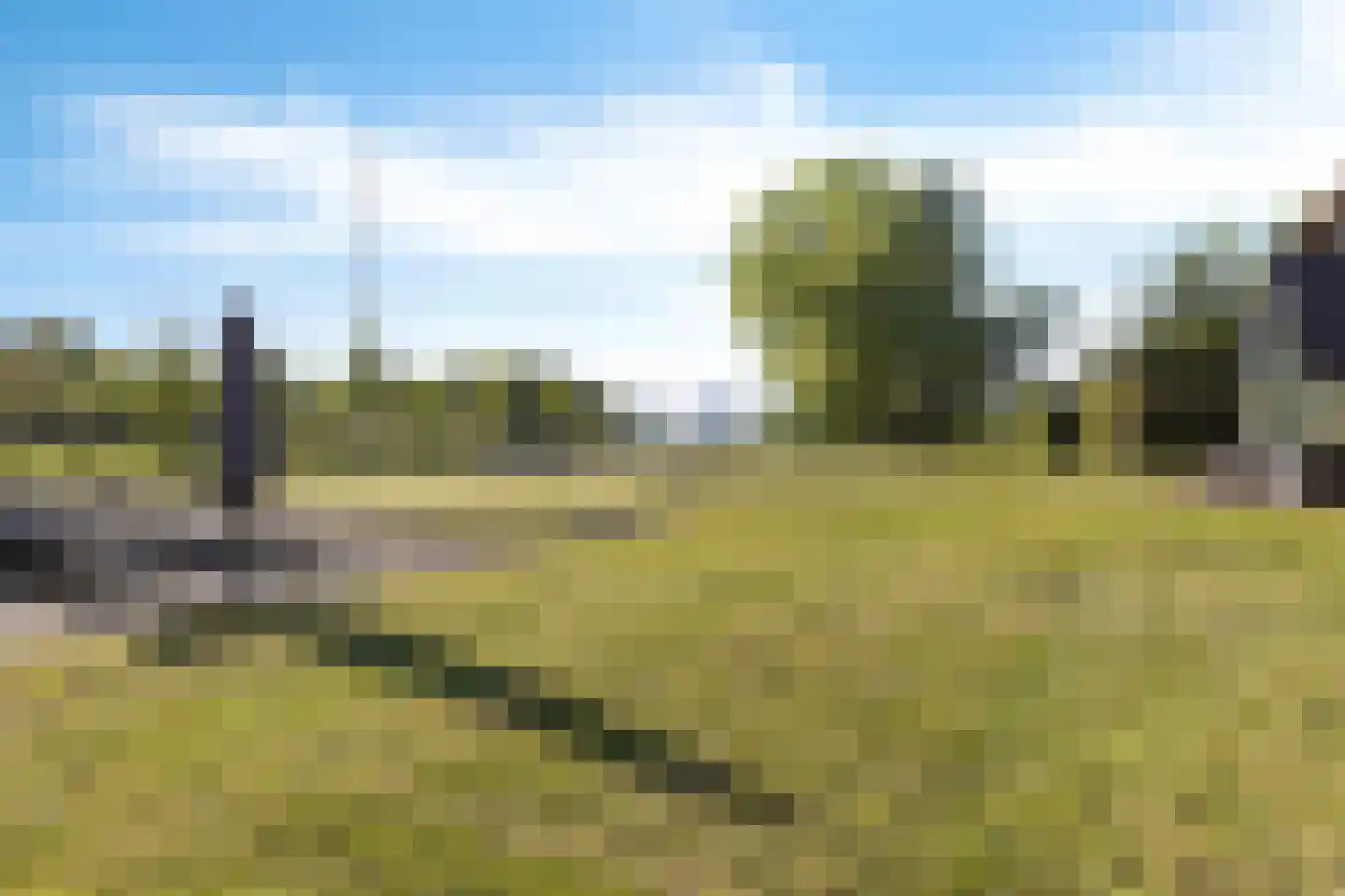 Groeveweg 1 A Oostwold thumbnail 17