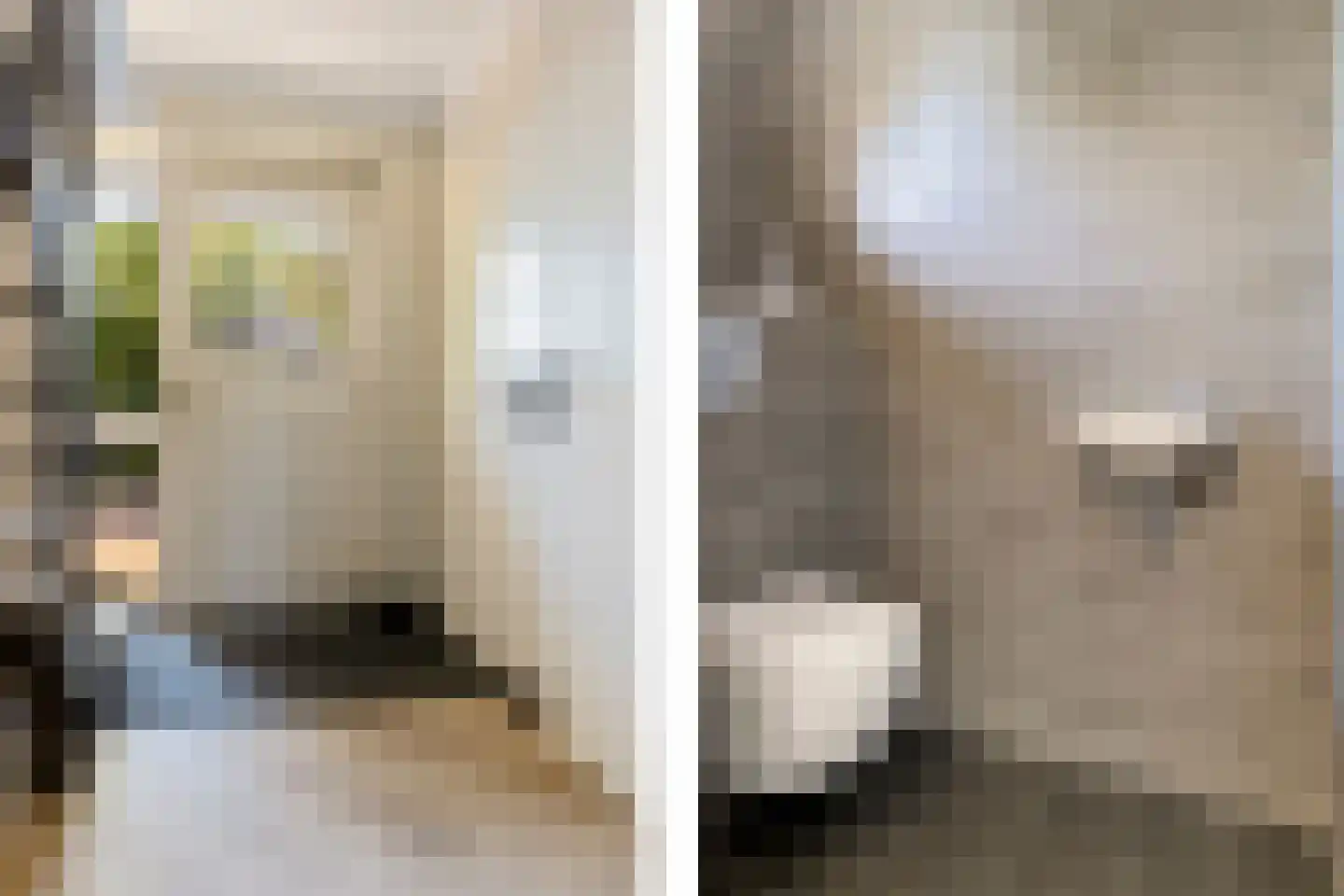 Groeveweg 1 A Oostwold thumbnail 26
