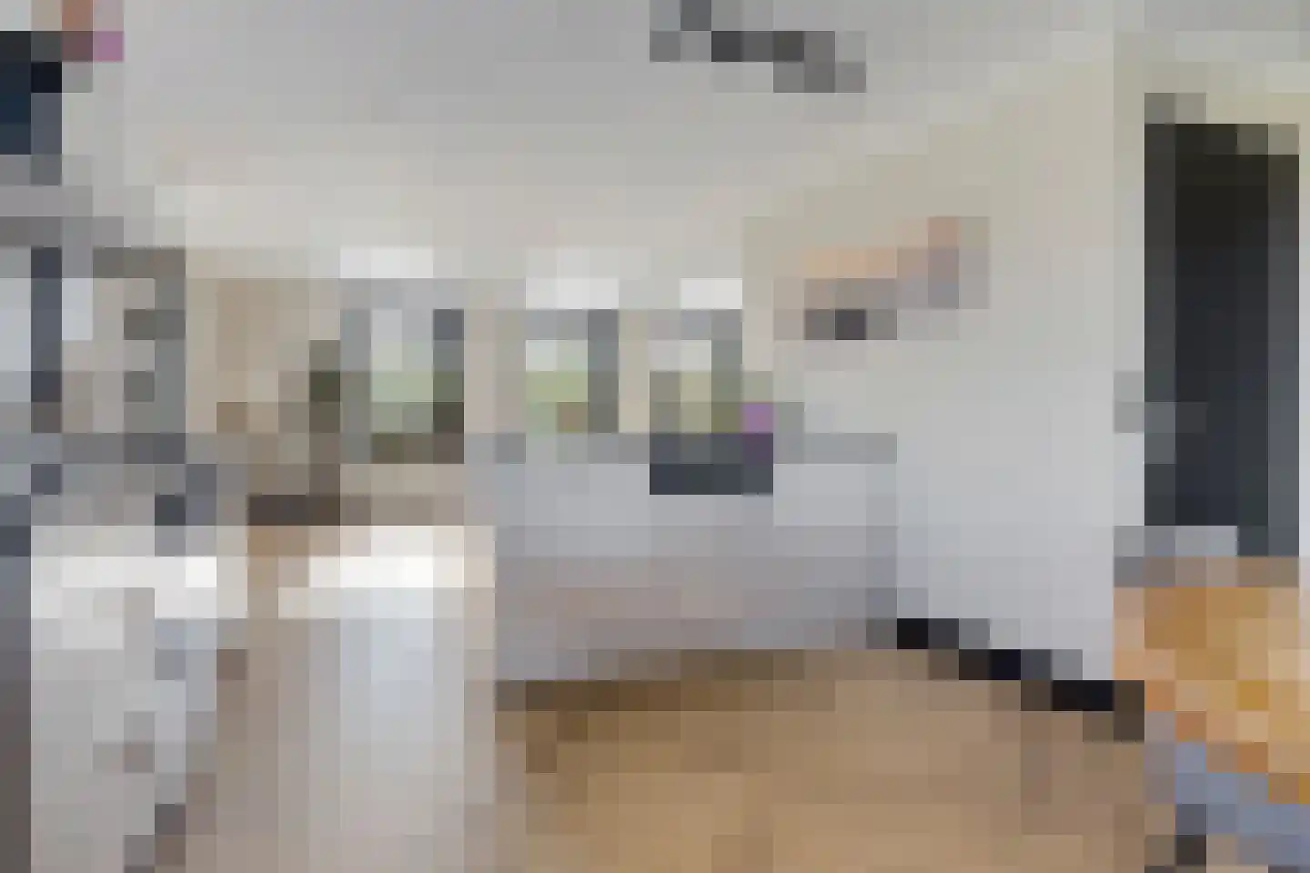 Groeveweg 1 A Oostwold thumbnail 37