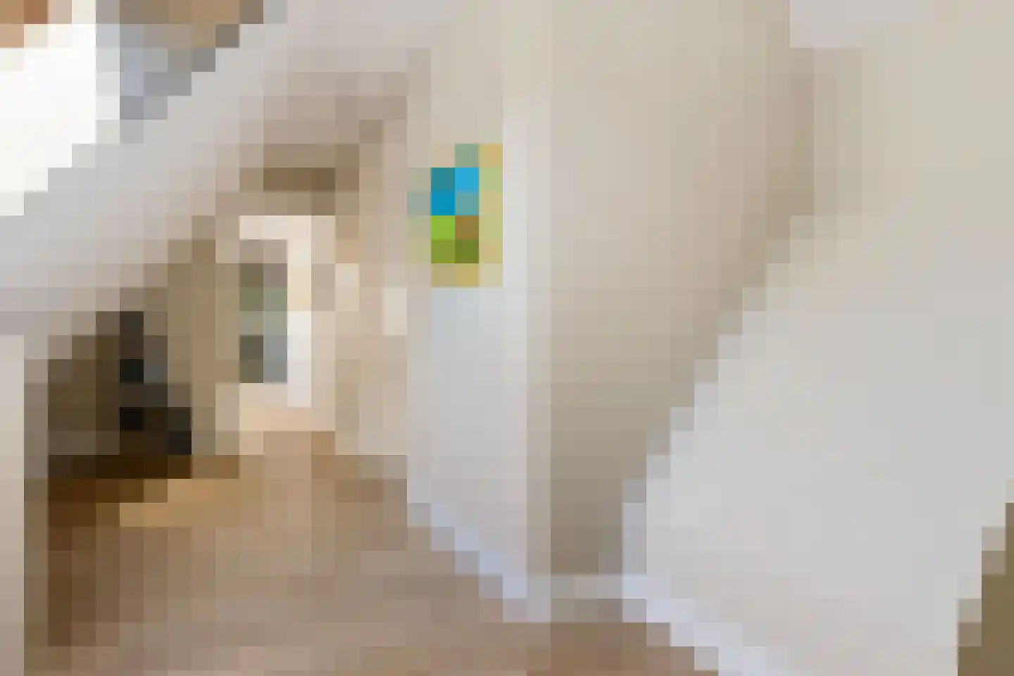 Groeveweg 1 A Oostwold thumbnail 53