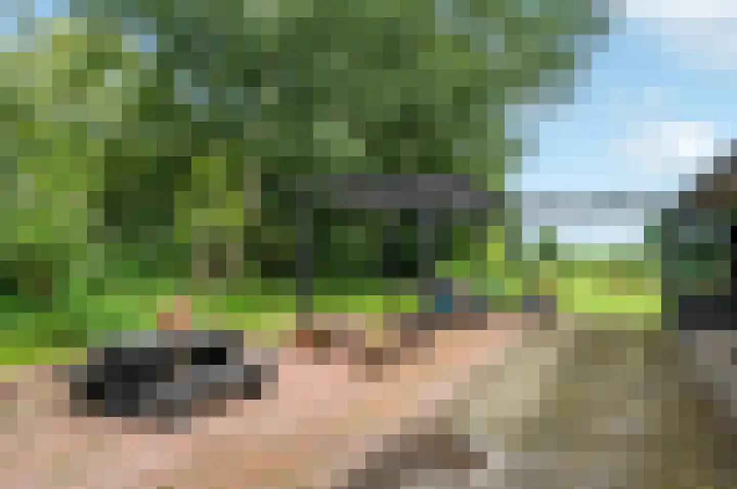 Groeveweg 43 Oostwold thumbnail 72