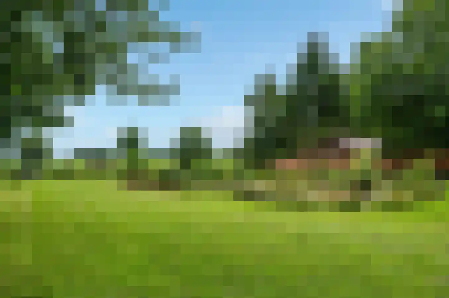 Groeveweg 43 Oostwold thumbnail 74