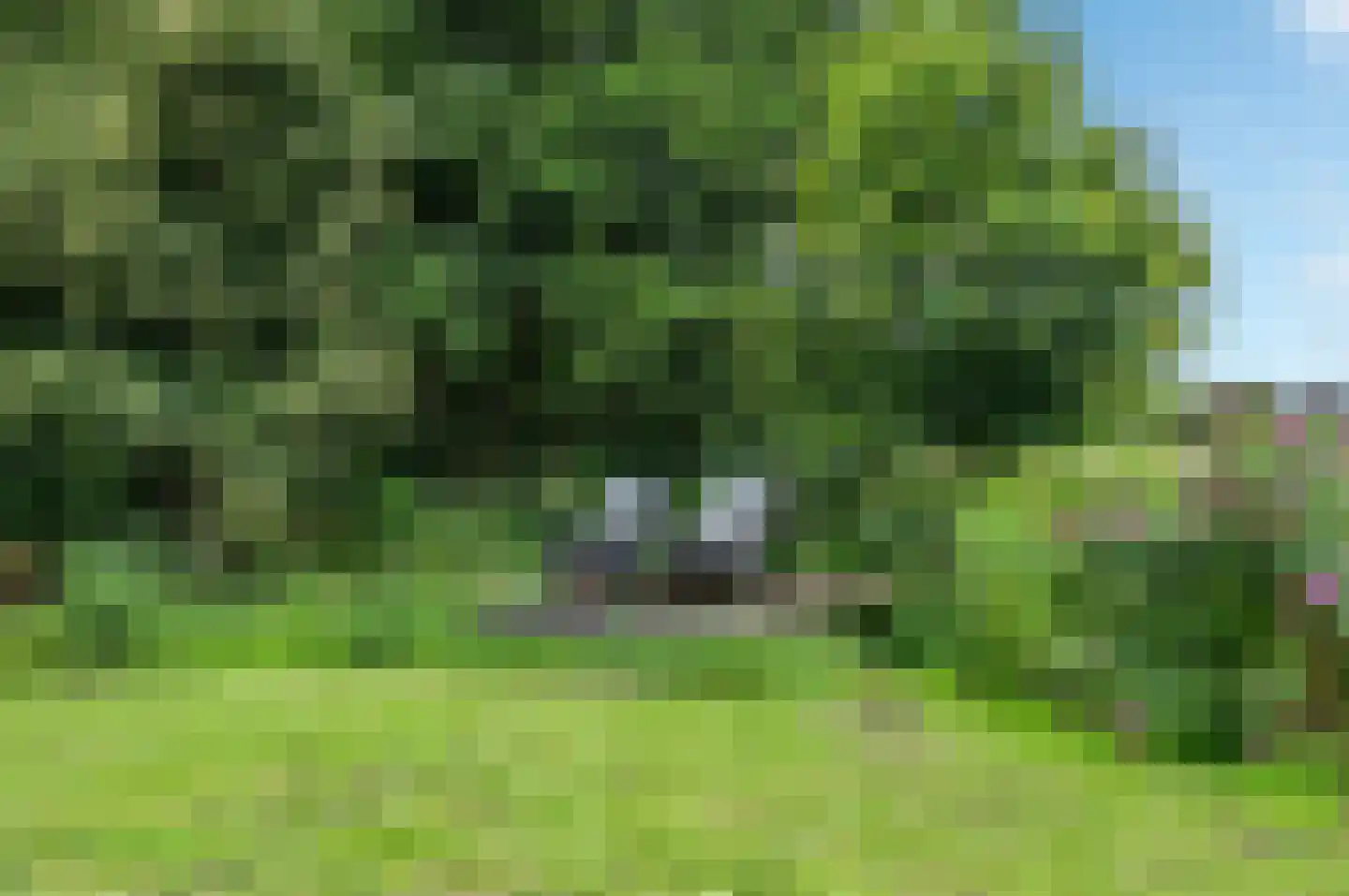Groeveweg 43 Oostwold thumbnail 77