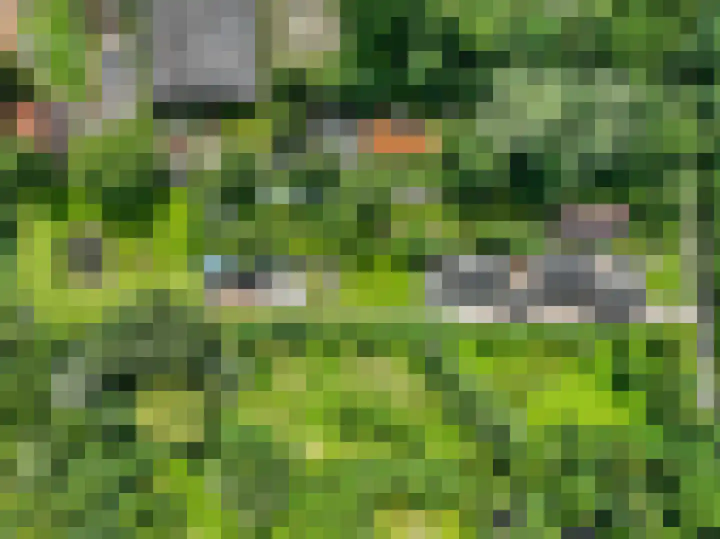 Groeveweg 43 Oostwold thumbnail 81