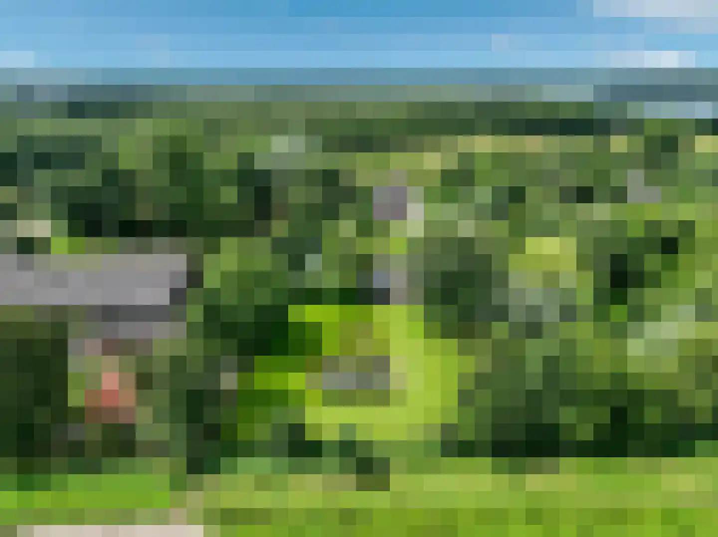 Groeveweg 43 Oostwold thumbnail 82