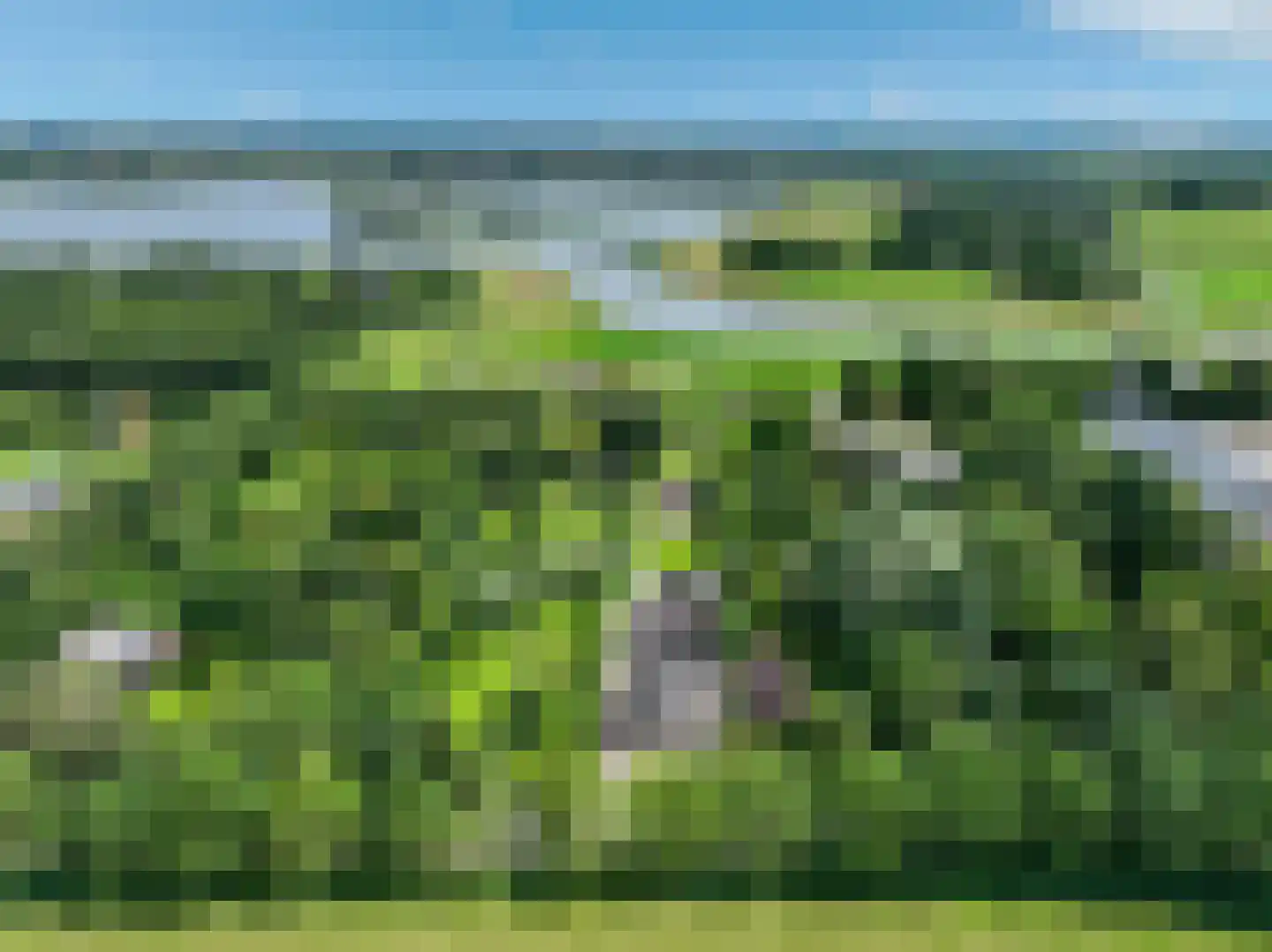 Groeveweg 43 Oostwold thumbnail 84