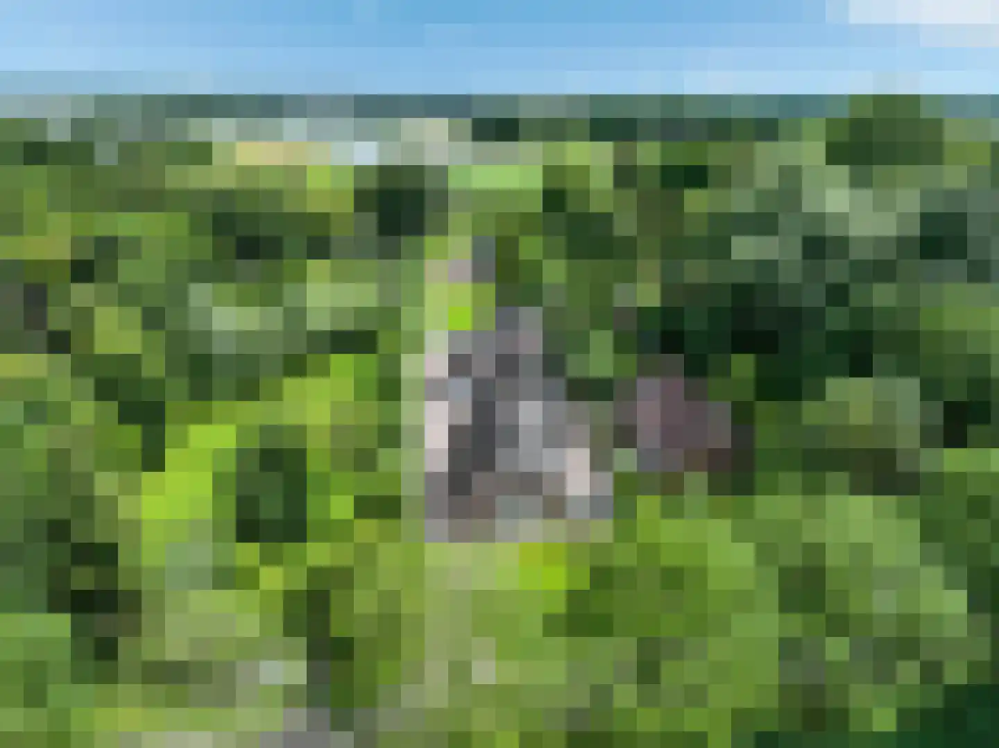 Groeveweg 43 Oostwold thumbnail 85