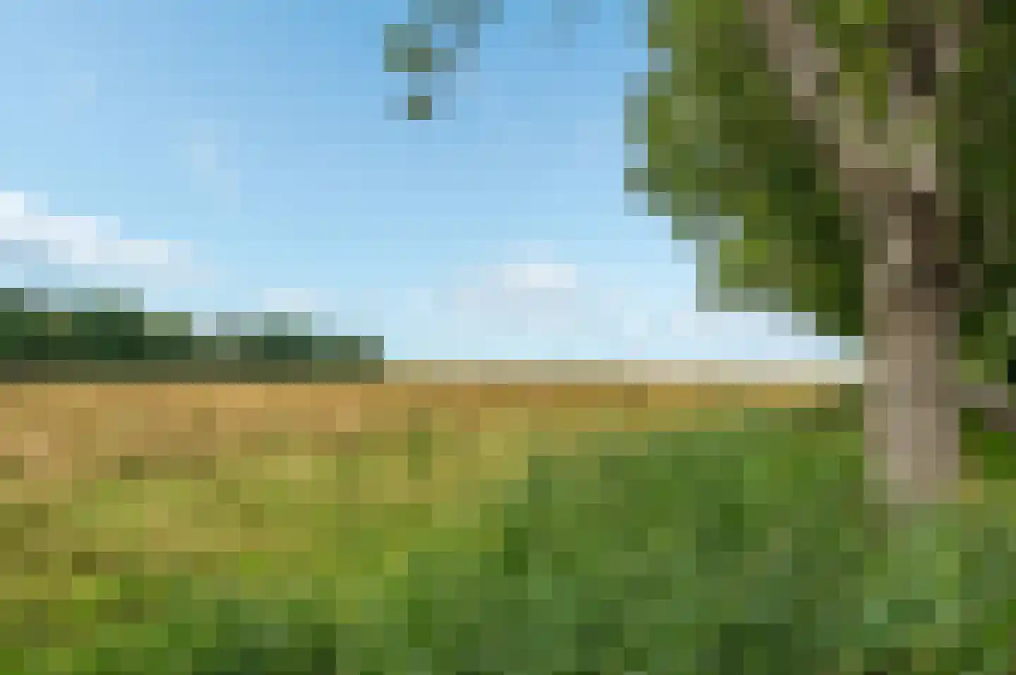 Groeveweg 43 Oostwold thumbnail 86